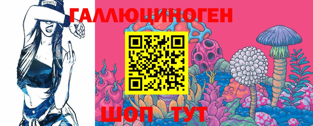 Псилоцибиновые грибы Magic Shrooms  Галлюциногенные грибы Psilocybe  Вход с VPN  Новозыбков 