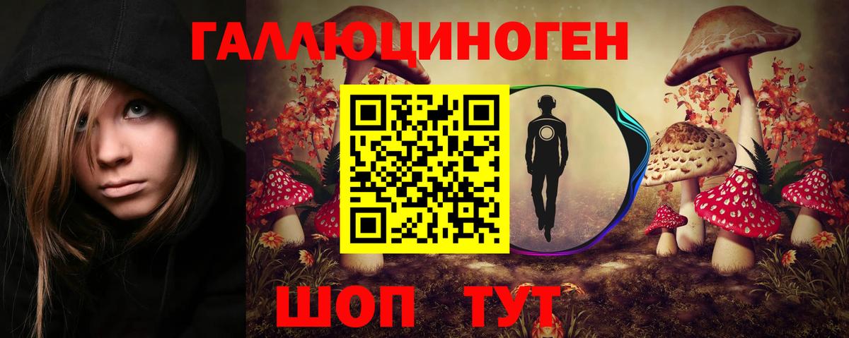 Псилоцибиновые грибы Cubensis Новозыбков